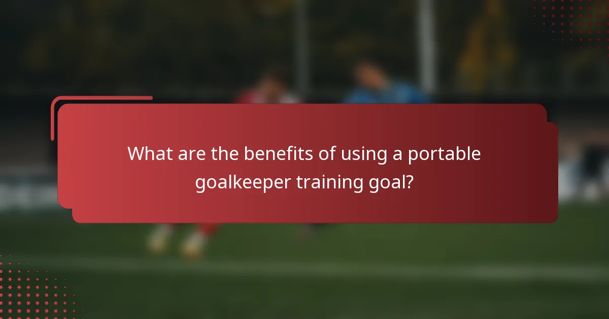 What are the benefits of using a portable goalkeeper training goal?