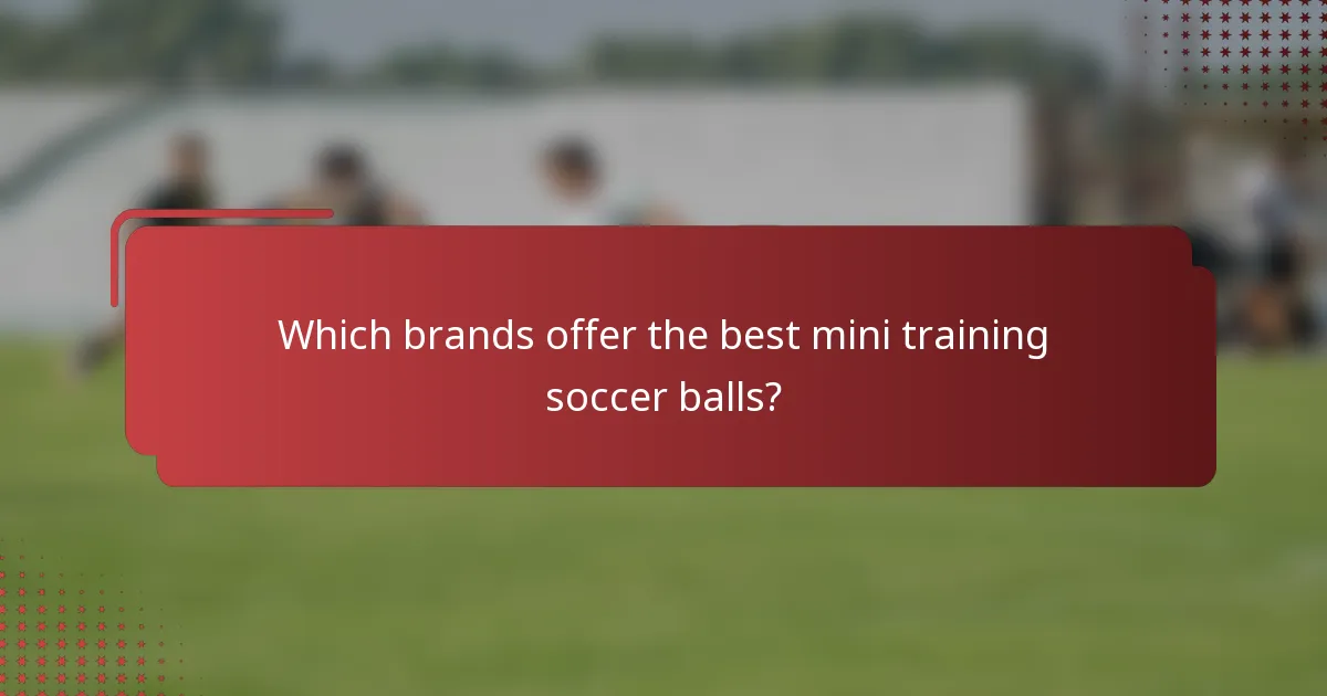 Which brands offer the best mini training soccer balls?