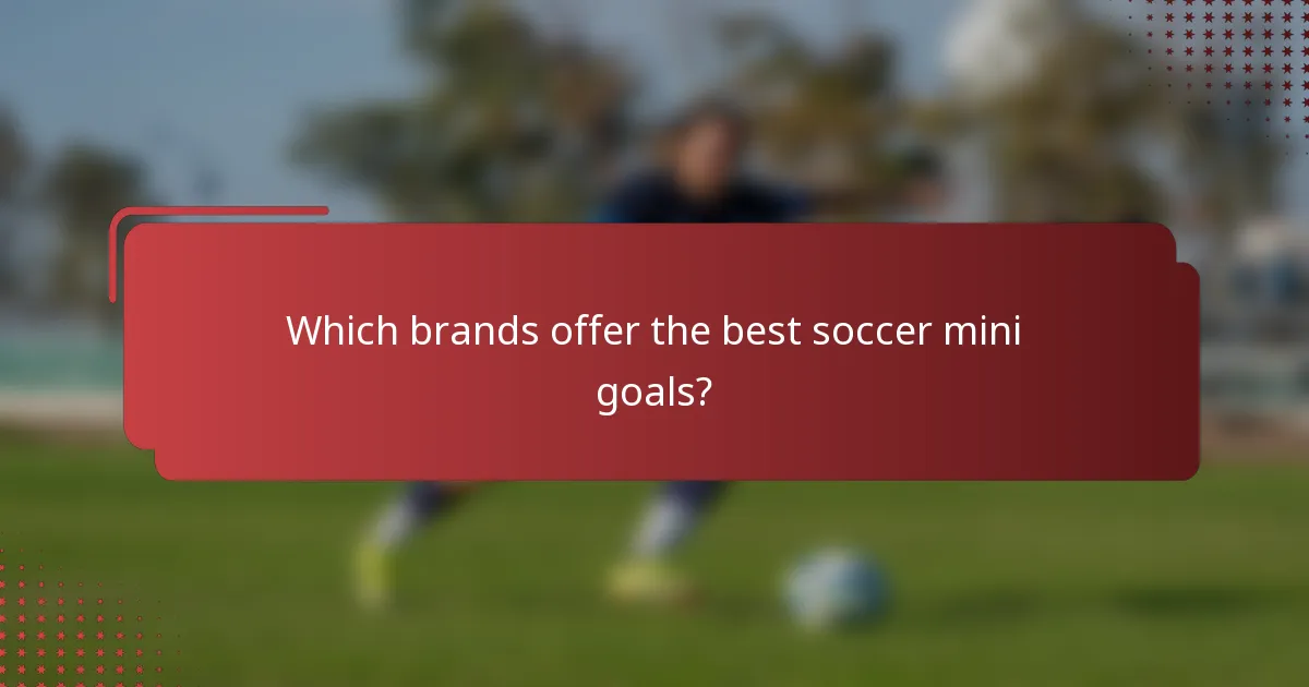 Which brands offer the best soccer mini goals?