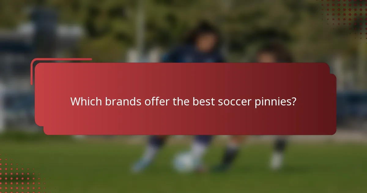 Which brands offer the best soccer pinnies?